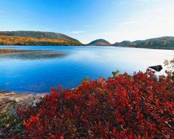 lake view fall acadia