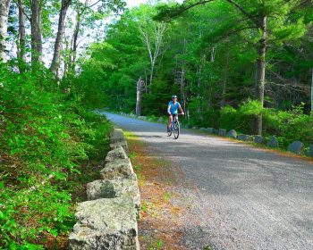 carriage road biking acadia