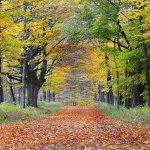 Northampton, Massachusetts: Pedaling in The Pioneer Valley Ogden Gigli 1
