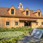 Cape May, New Jersey is Better in the Off Season beach plum Cape May sign added August 18 e1474290805291