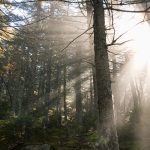 Active Adventures in North Conway, New Hampshire 16166242150 ee14e86019 k e1484716002621