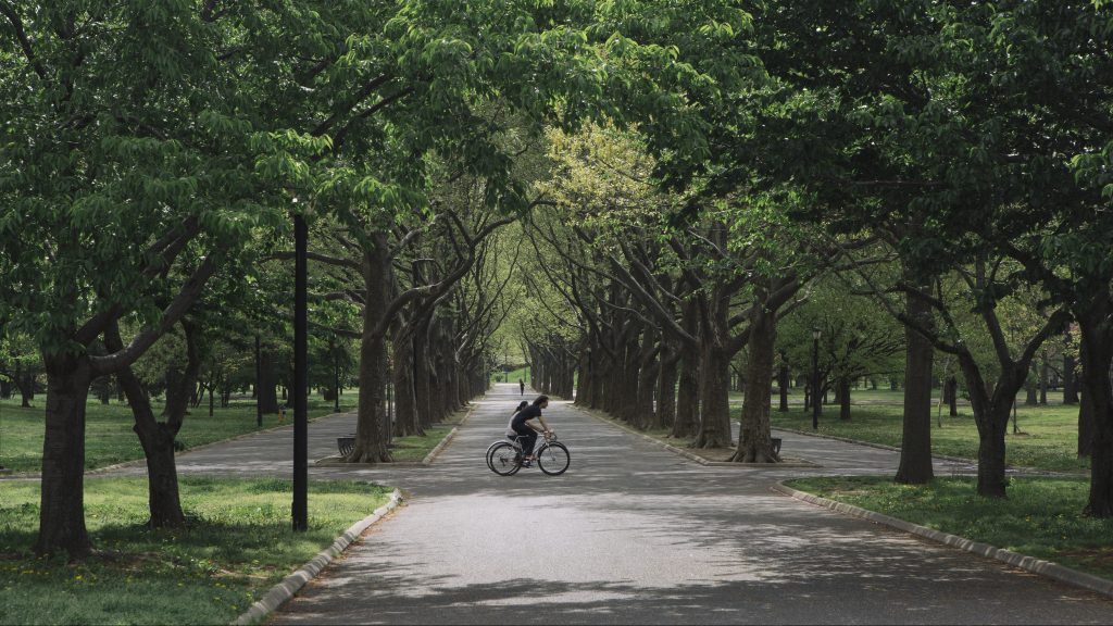Flushing Meadow Corona Park by Natasha Shapiro Flushing Meadow Corona Park