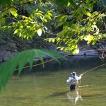 Catskills Trout Tales: Outdoor Adventures In Upstate New York Fly fishing Catskills e1525454756737