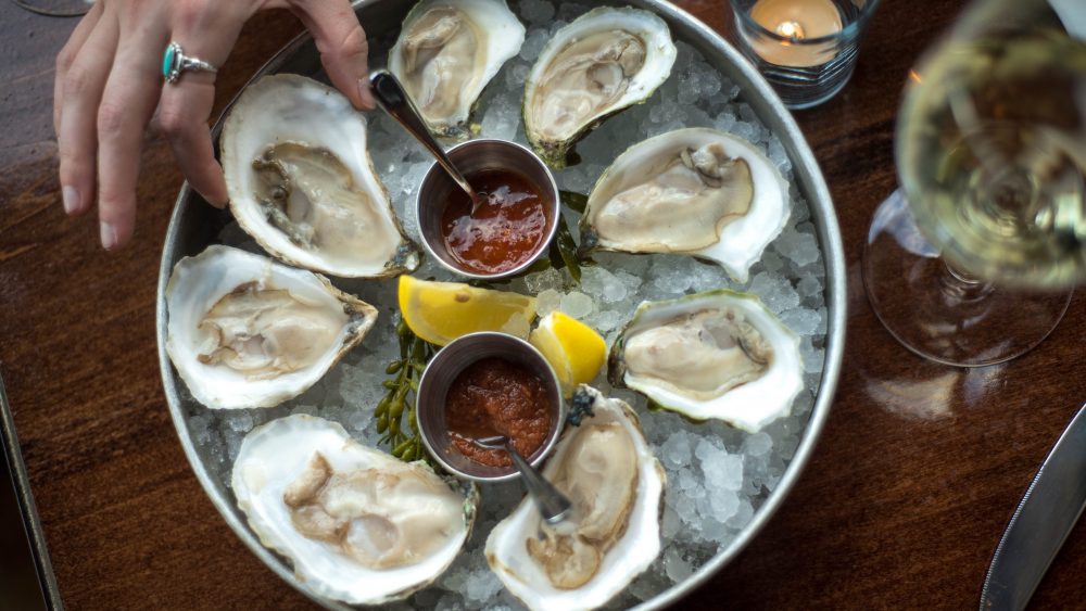 Camden Maine Oysters