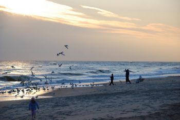 sunrise and birds at Jones Beach State Park