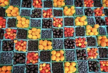 fresh blueberries and cherries