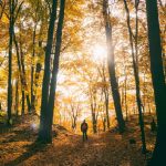 The Best Trails to Hike in Harriman State Park Accessible by Public Transit Hiking in the Autumn