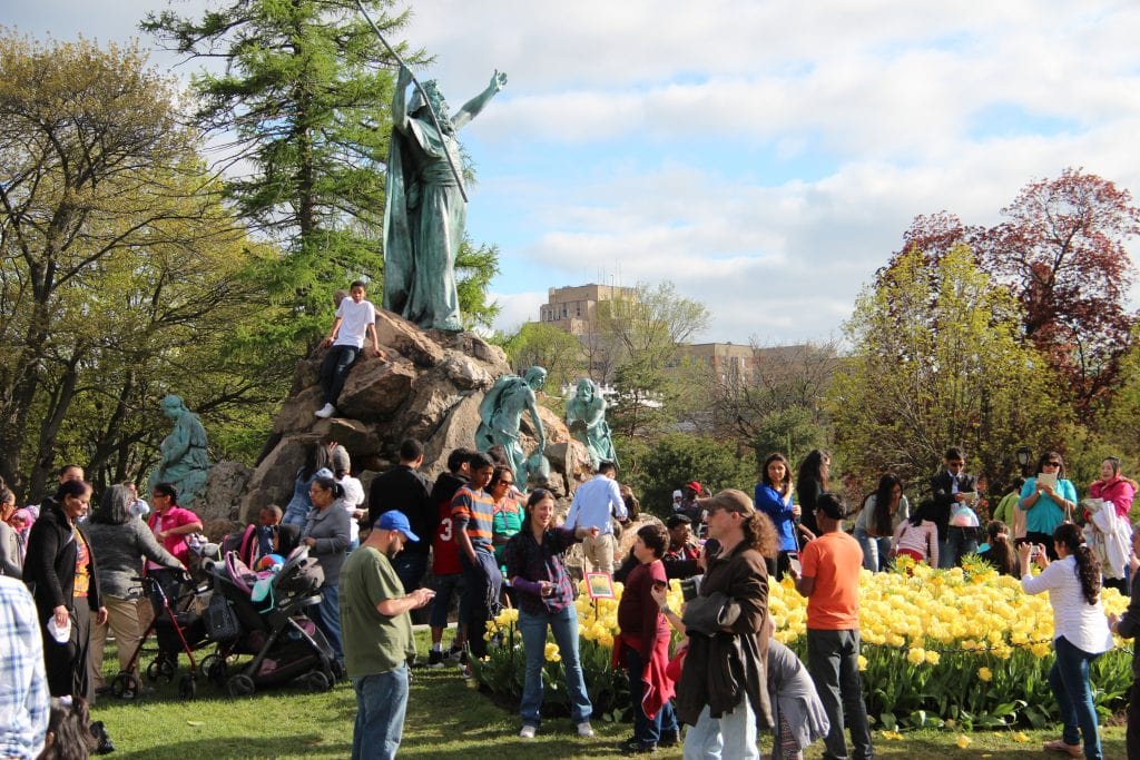 Albany Tulip Fest