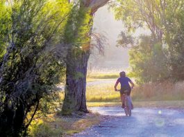The Great American Rail-Trail: Travel Across America Without a Car Bike path across america