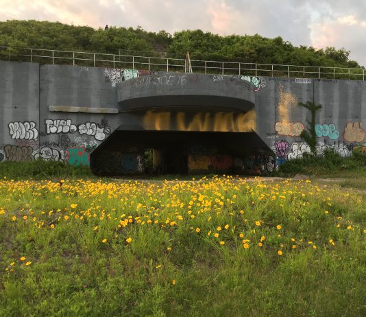 Enjoy a Day Trip to Fort Tilden, Queens Fort Tilden 2018 Valerie Soll