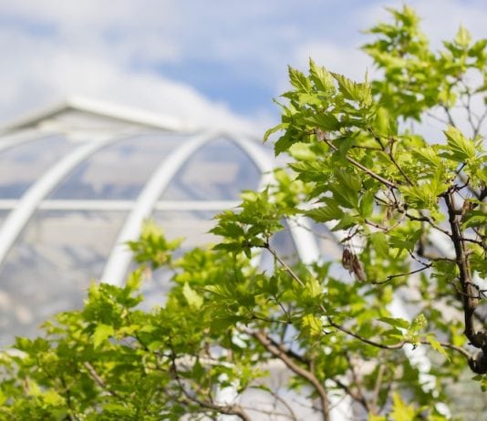 Phipps Conservatory Pittsburgh