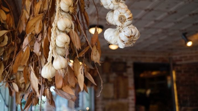 Garlic Festivals Near NYC