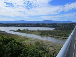 The Artistic and Historic Charms of the Village of Catskill, NY Catskill Skywalk to Hudson