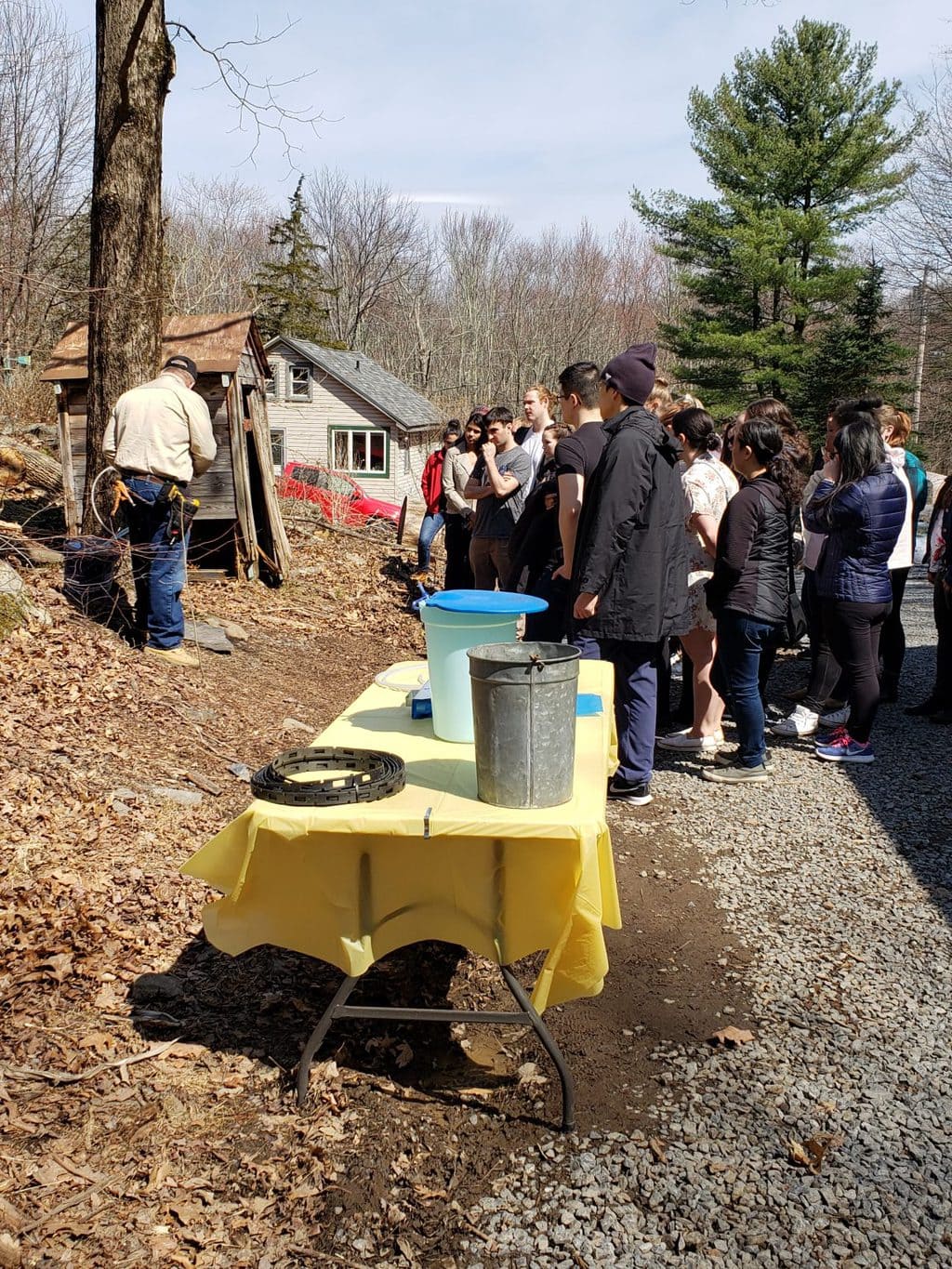 A Maple Syrup Tour of Upstate New York offMetro NY
