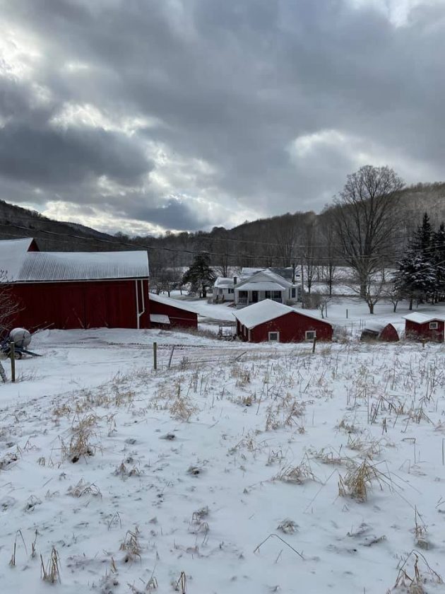 A Maple Syrup Tour of Upstate New York offMetro NY