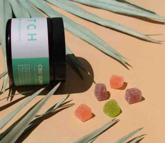 5 Beneficial Additions to CBD Gummies Additions to CBD Gummies