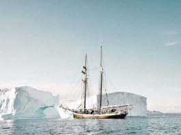 What to Do During Arctic Tours what to do on arctic tours