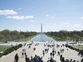 Washington DC for Families: A Short Holiday Guide Washington DC guide