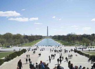 Washington DC guide