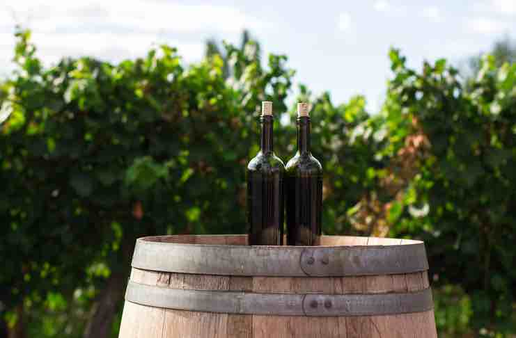 preserve your wine