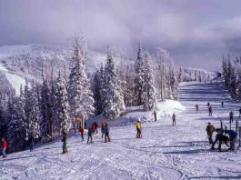 Your First Ski Vacation? Check Out These Skiing Tips for Beginners ski vacation