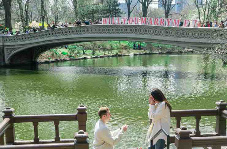 Tips For Love Birds