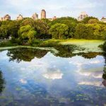 Our Best Recommended Sights in New York for Summer 2022 Best Recommended Sights in New York for Summer 2022