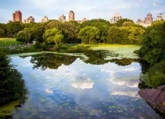Best Recommended Sights in New York for Summer 2022