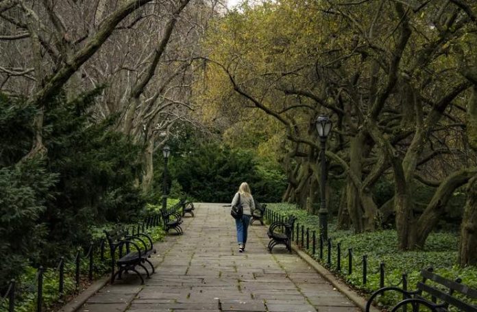 How To Rent on a Budget Near Central Park