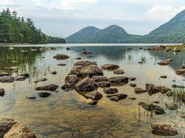 The 10 Most Beautiful Road Trips You Can Do In Maine Beautiful Road Trips In Maine