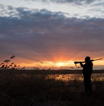Places To Hunt In New York