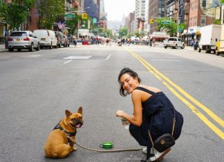 NYC's Most Enchanting Parks for Pooch Strolls