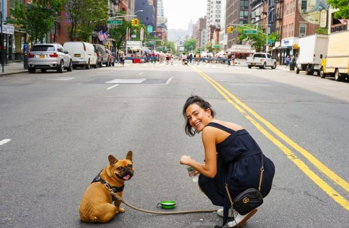 NYC's Most Enchanting Parks for Pooch Strolls