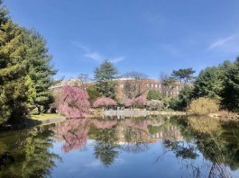 Visit These 4 Relaxing Spots on Your Next Trip to NYC (with Videos!) Relaxing Spots on Your Next Trip to NYC