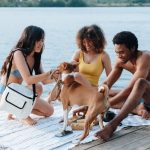 5 Fun Pet-Friendly Weekend Trips in Maine – and Tips for Having a Great Time Pet-Friendly Weekend Trips in Maine