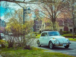 Best Things To Do in Forest Hills, Queens (with Videos!) best places to visit in forest hills queens ny