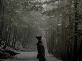 A Car-Free Weekend in the Catskills: Embracing Nature’s Symphony Through Hiking, Biking, and Camping Car-Free Weekend in the Catskills