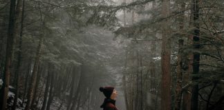 A Car-Free Weekend in the Catskills: Embracing Nature’s Symphony Through Hiking, Biking, and Camping Car-Free Weekend in the Catskills