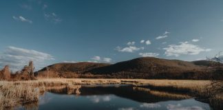 Nurturing Spaces: 5 Car–Free Destinations for Post Treatment Relaxation Car-Free Destinations for Post Treatment Relaxation