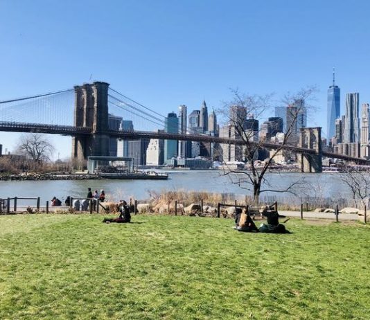Unmissable Events at Brooklyn Bridge Park in August Events at Brooklyn Bridge Park