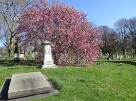 Dancing with Death: Your Guide to Nightfall Experience at Green-Wood Cemetery in Brooklyn guide to green-wood cemetery