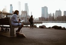 Summer Fun at Brooklyn Bridge Park: 15th Anniversary Highlights Fun at Brooklyn Bridge Park