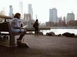Summer Fun at Brooklyn Bridge Park: 15th Anniversary Highlights Fun at Brooklyn Bridge Park