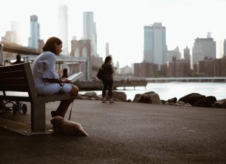 Fun at Brooklyn Bridge Park