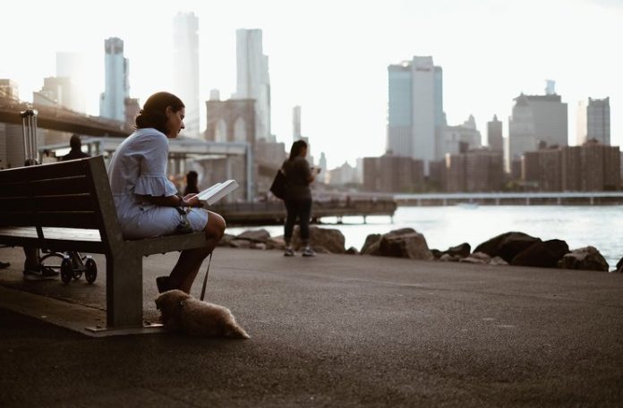 Fun at Brooklyn Bridge Park