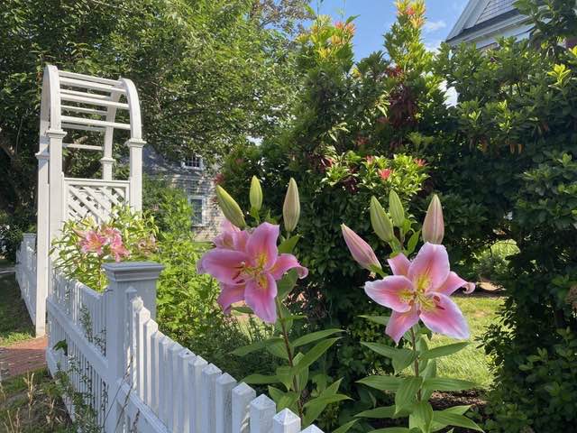 garden at Palmer House Inn cape cod