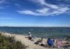 Cape Cod Getaway from NYC: A Charming, Car-Free Escape to Falmouth seawall beach