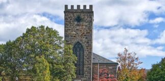 Settling into Boston: 5 Eco-Friendly Escapes Every New Bostonian Should Try On Month One Eco Friendly Escapes in boston
