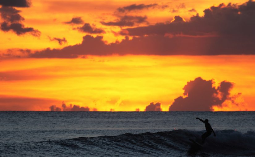 Eco Travel Adventures on the Island of Oahu