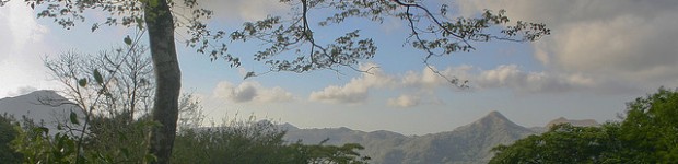 A Local’s Guide to Green Adventures: Things to Do in Panama